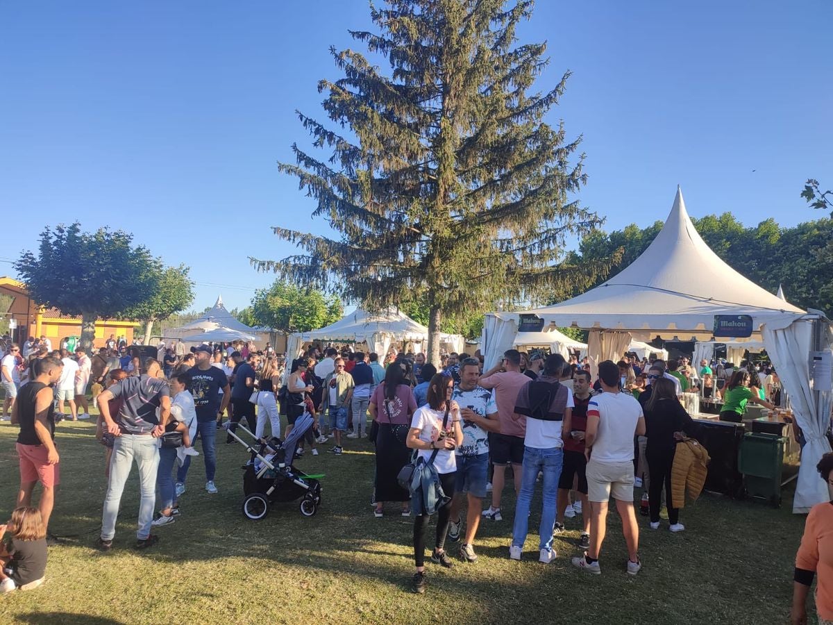 La Feria de la Cerveza de Carrizo, en imágenes