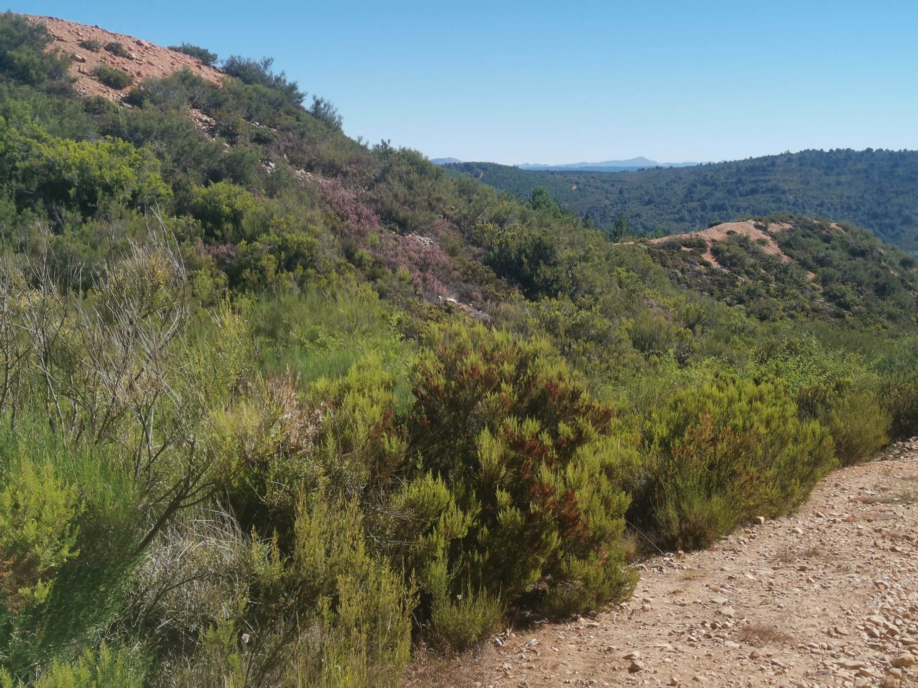 Ruta de Las Miédolas