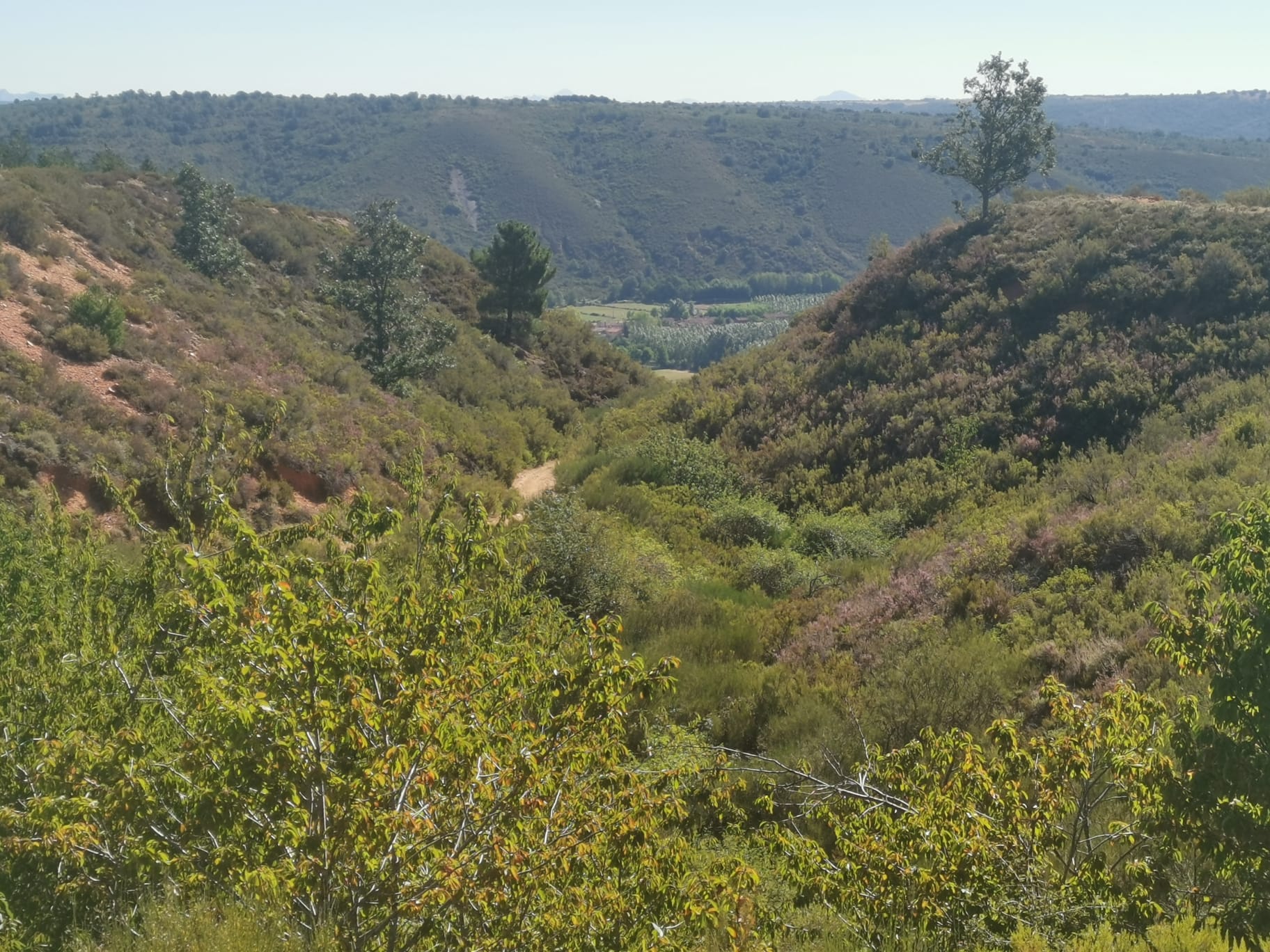 Ruta de Las Miédolas