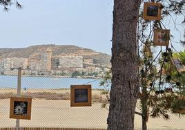 Las obras expuestas en el jardín del CAMP Santa Faz de Alicante.