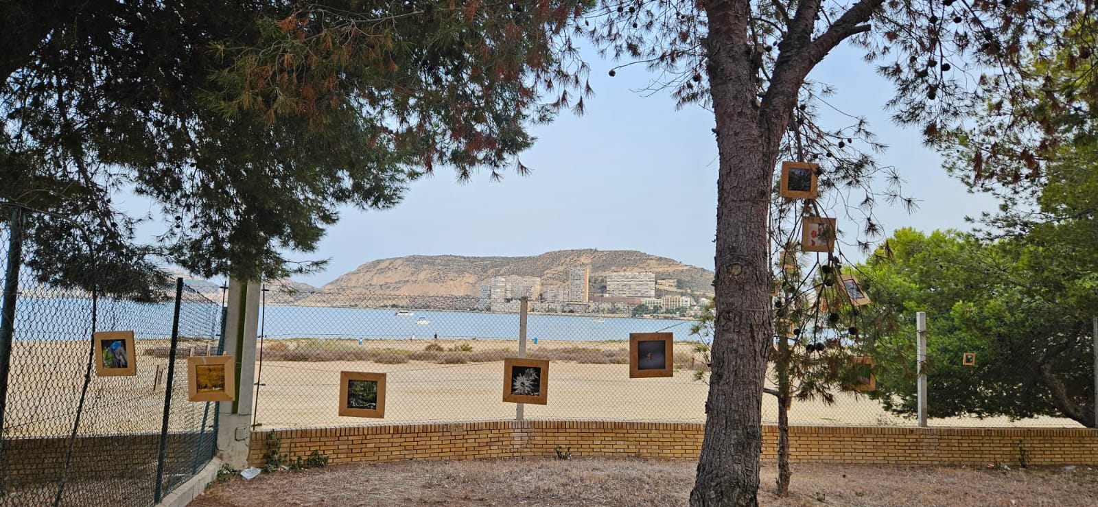 Las obras expuestas en el jardín del CAMP Santa Faz de Alicante.