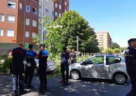 Imagen del árbol sobre un vehículo estacionado en la zona.