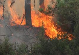 Imagen de archivo de un fuego ocurrido en la provincia de León.