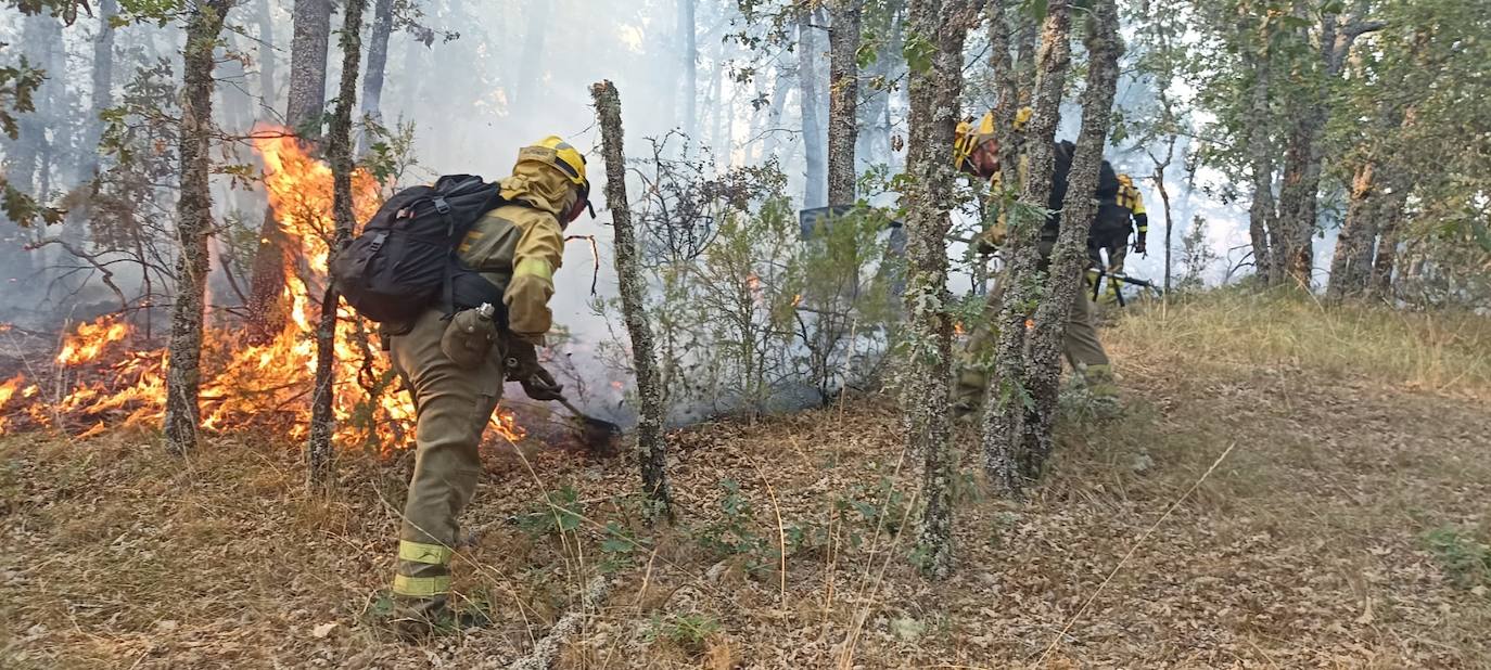 Unos bomberos intentan sofocar las llamas. 