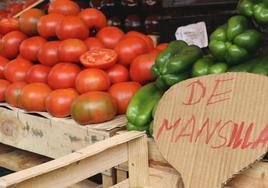 Uno de los puestos de la Feria del Tomate de Mansilla.