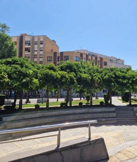 Imagen secundaria 2 - Anfiteatro de la plaza San Marcos de León.