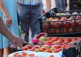Feria del Tomate de Mansilla de las Mulas.