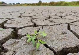 Cambio climático.