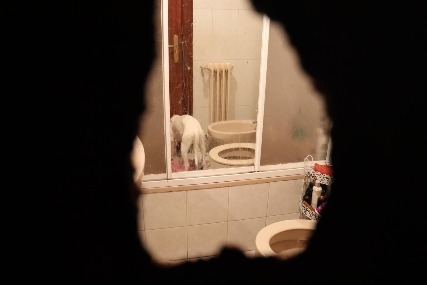 El baño de la vivienda, visto desde una puerta rota