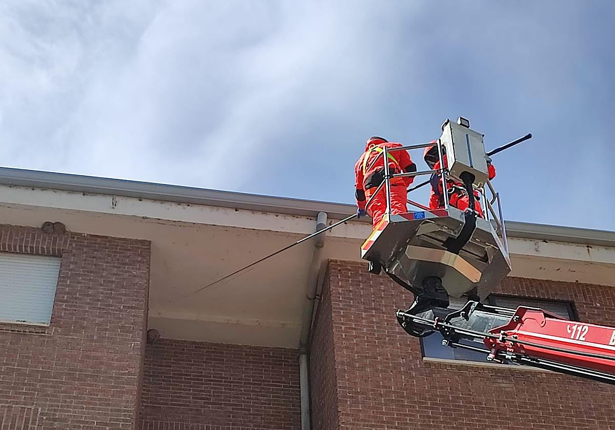 Bomberos de la Diputación eliminan un nido en La Magdalena.