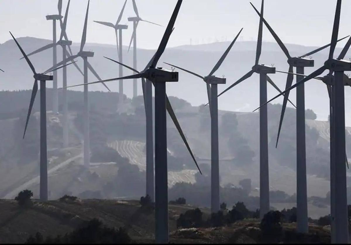 Colectivos ecologistas se oponen a los macroproyectos renovables en La Cabrera y la Cordillera Cantábrica