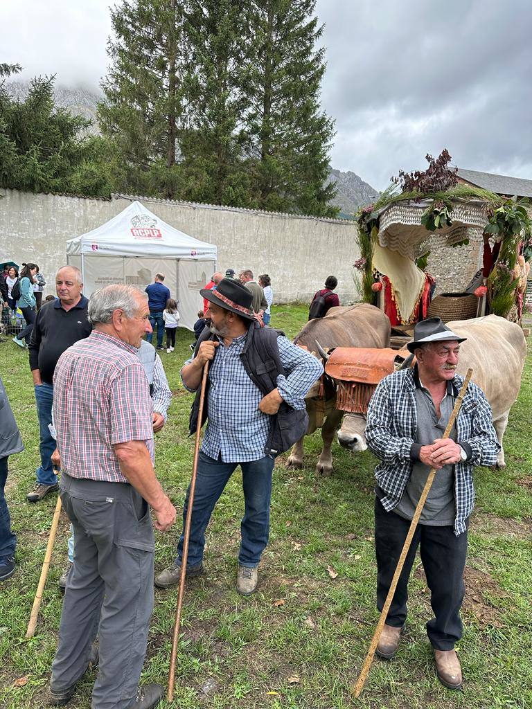 Feria del Cristo en Valdelugueros