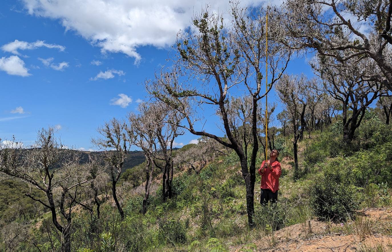 Un investigador leonés en África