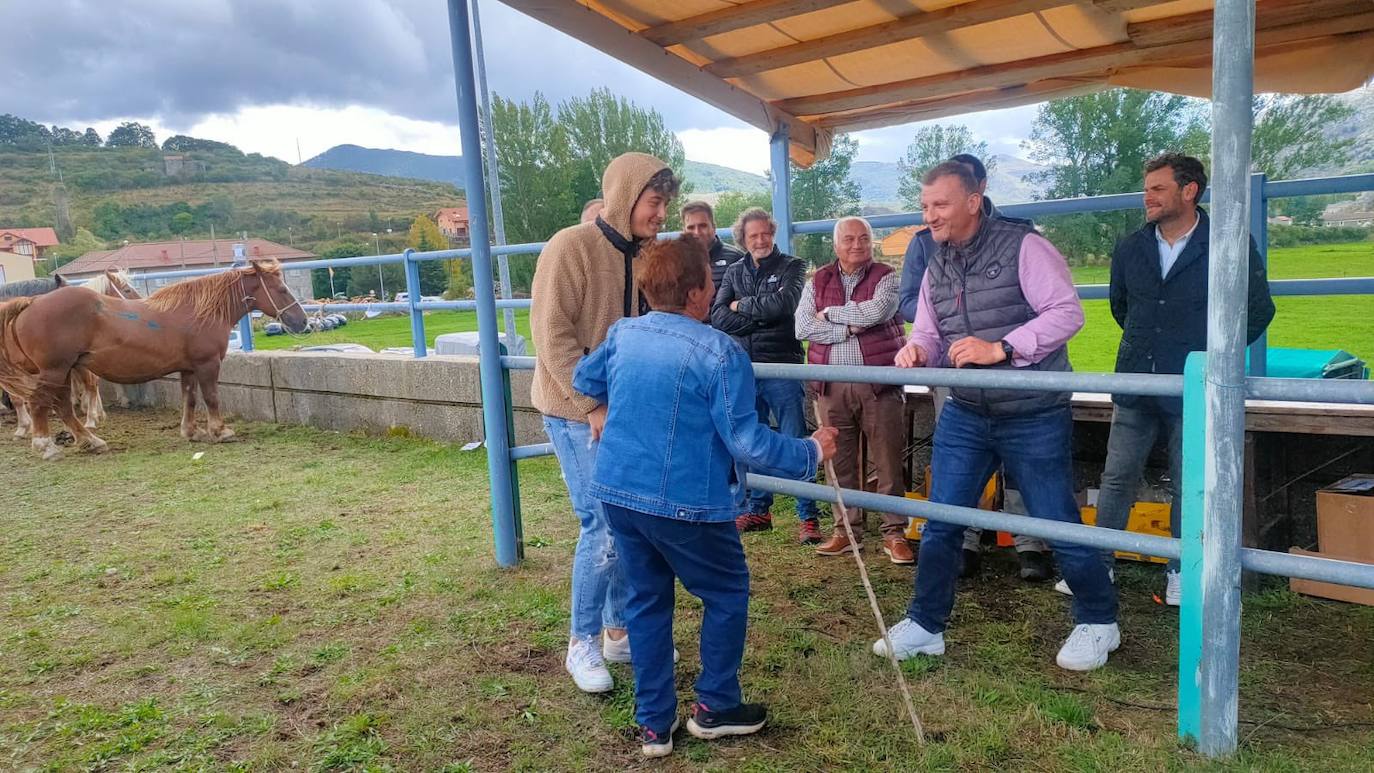 XLIII Concurso de Ganado de Montaña