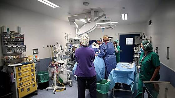 Las donaciones de óvulos crecen en León: 900 euros por voluntaria
