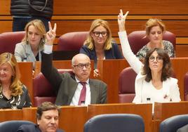 Votación en el Pleno de las Cortes.