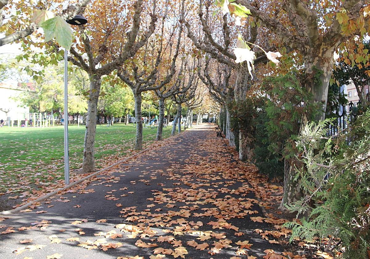 Imagen de archivo de un parque en la capital leonesa.