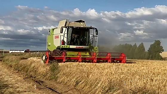 La Junta impulsa las ayudas frente a la sequía con 60 millones de euros en bonificaciones de préstamos