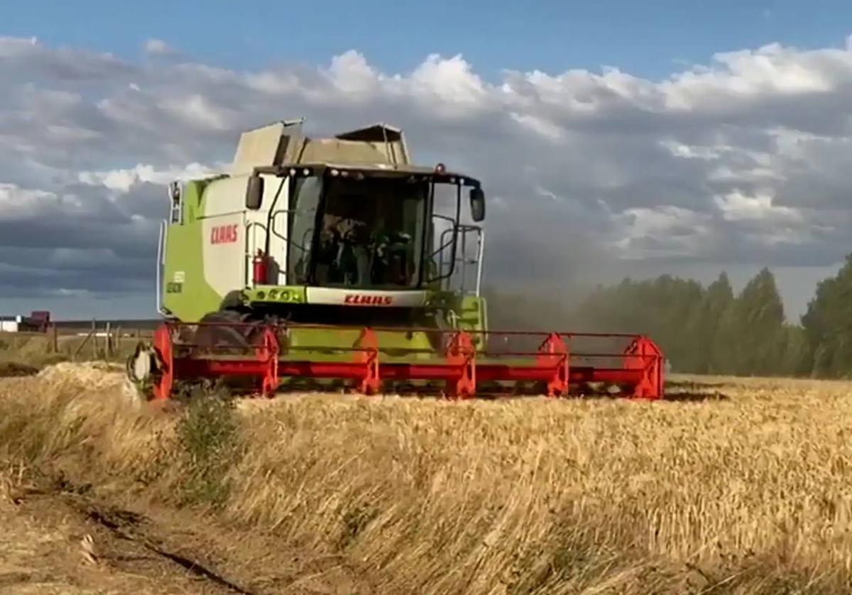 La Junta impulsa las ayudas frente a la sequía con 60 millones de euros en bonificaciones de préstamos