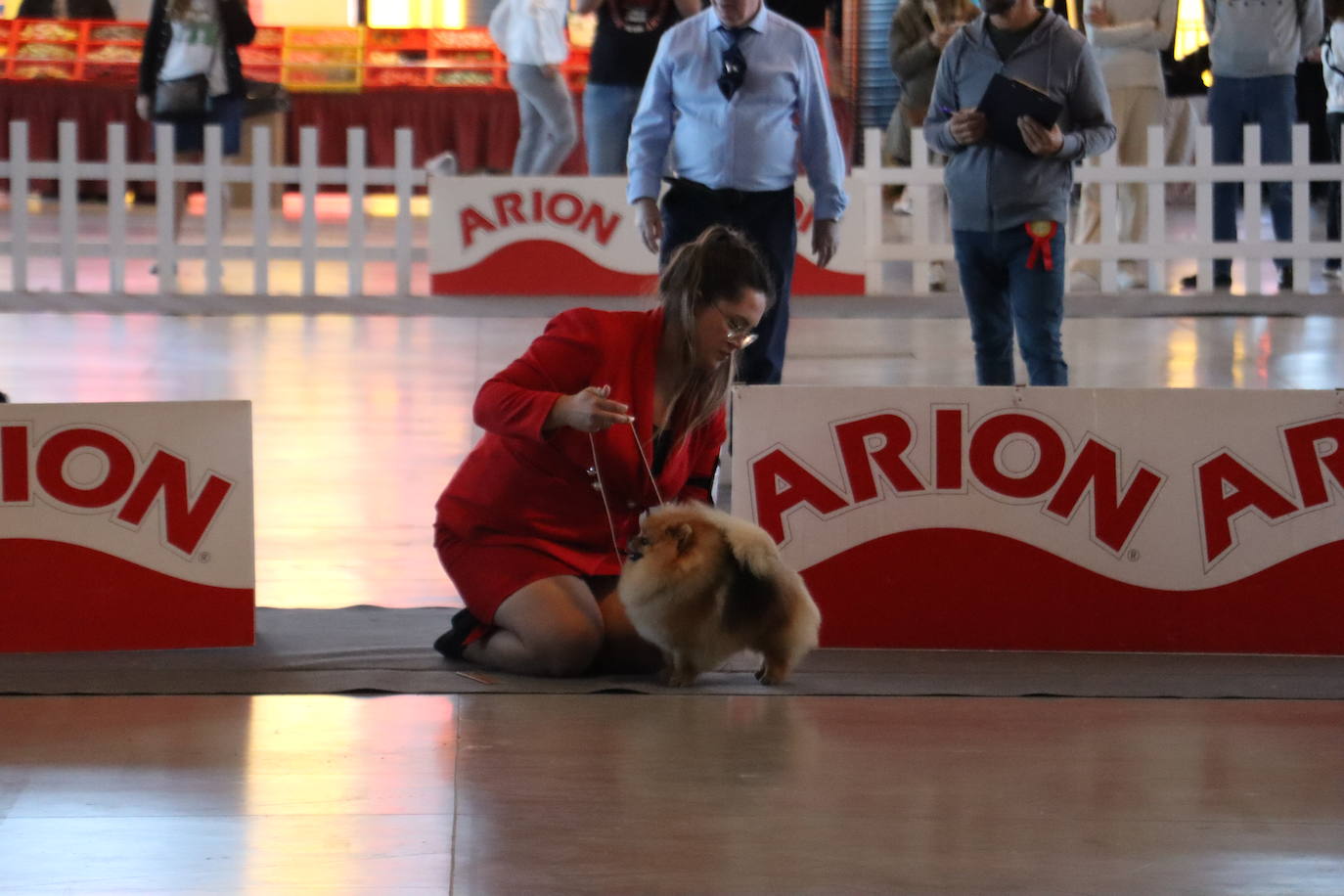 XXV Exposición Internacional Canina de León