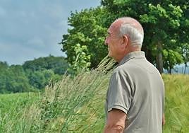 La pensión media en León se sitúa en 1.191 euros