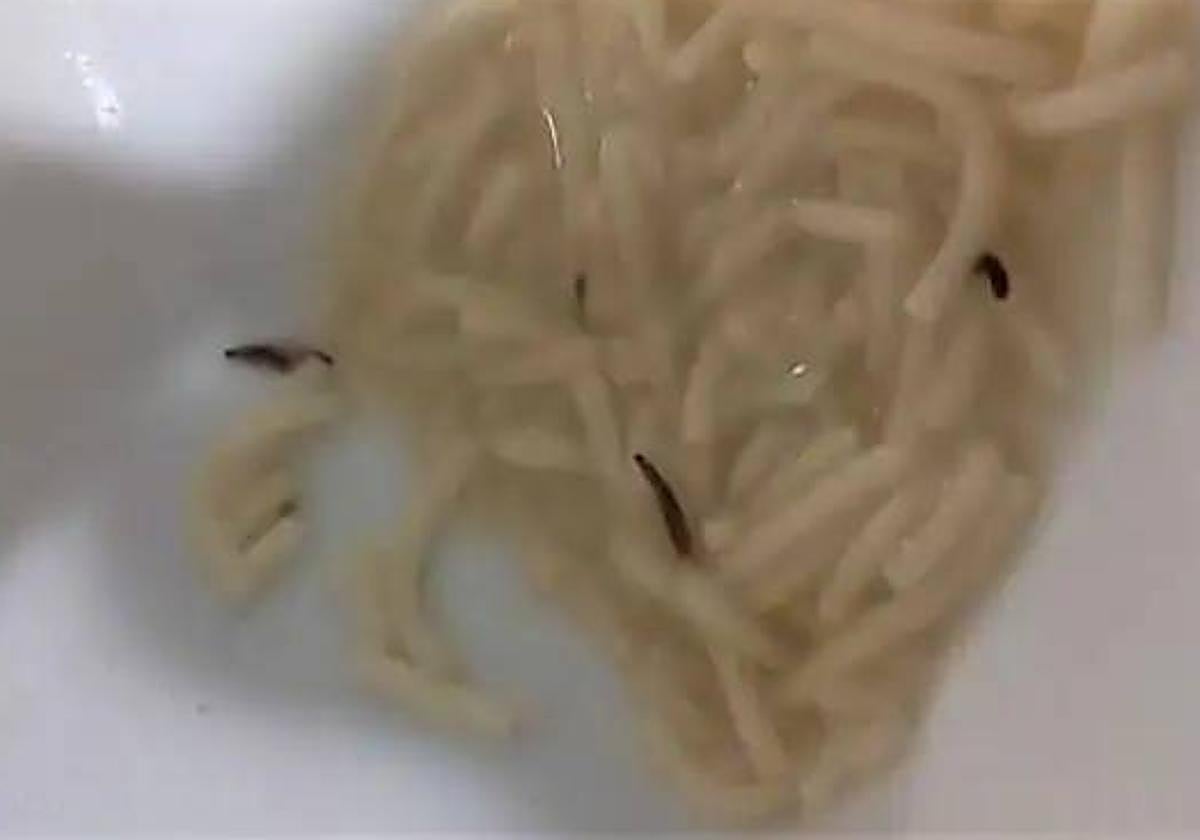 Plato fotografiado por los trabajadores del Hospital de León en octubre de 2022.