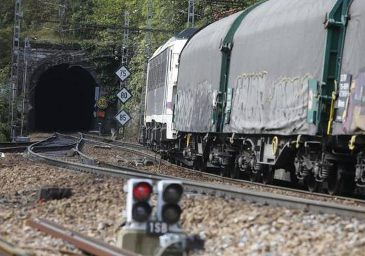 Imagen de archivo de un tren de mercancías a su paso por la rampa de Pajares.