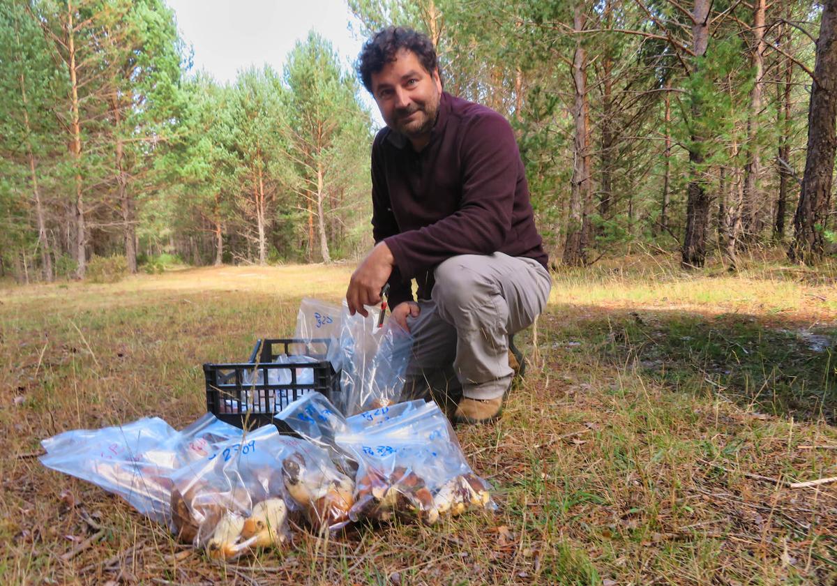 Boletus recogido en un bosque de la comunidad.