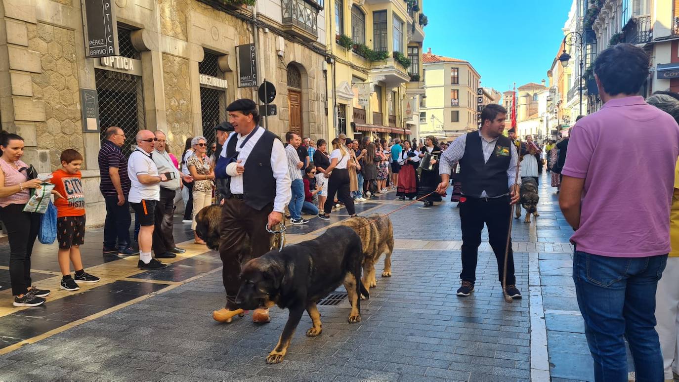 Desfile de pendones en León