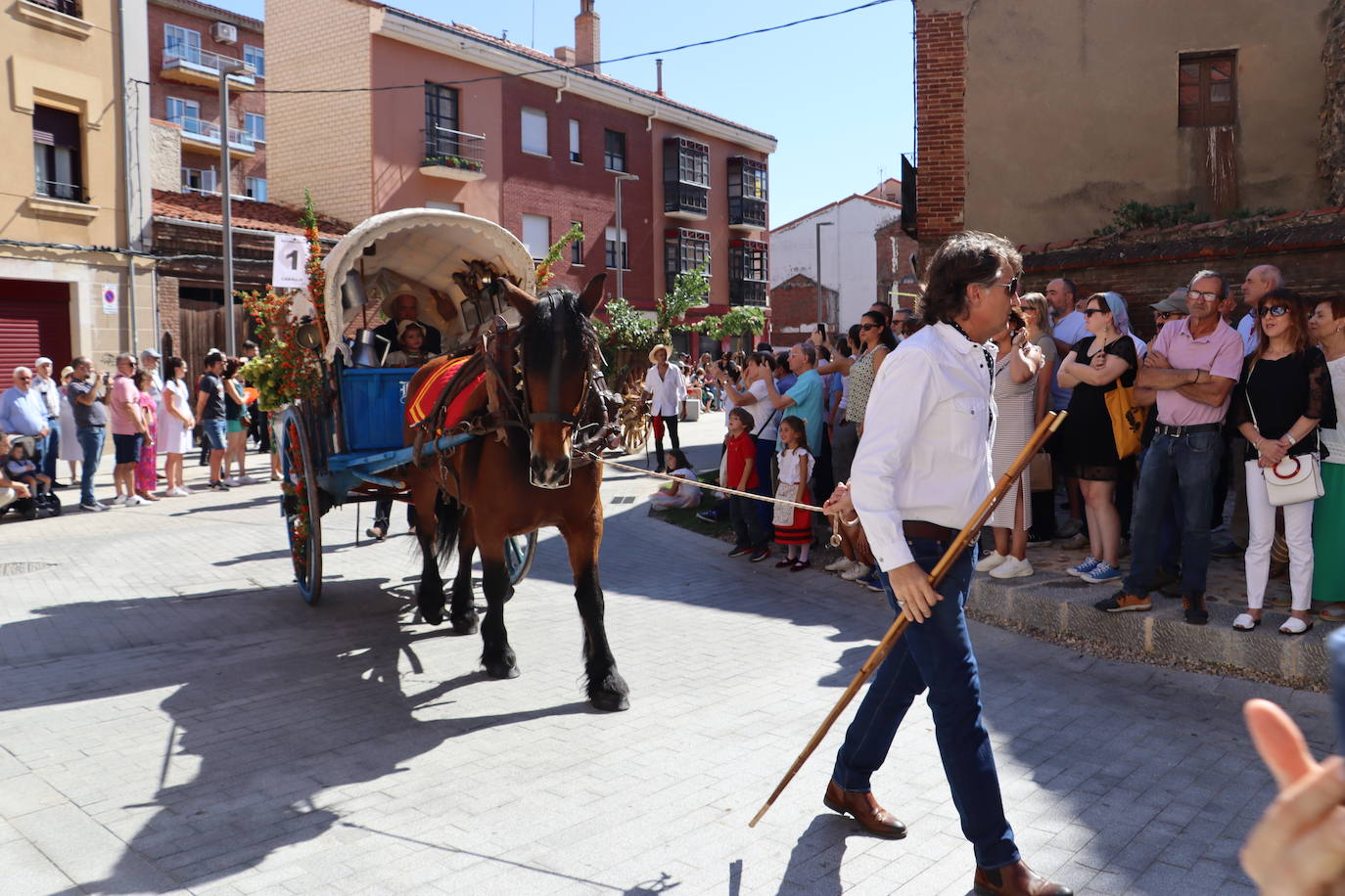 Desfile de carros engalanados