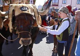 Romería de San Froilán a la Virgen del Camino