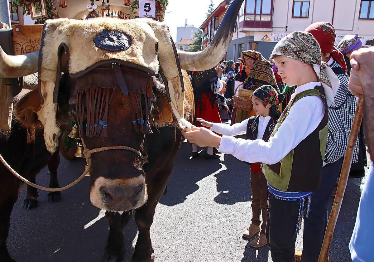 Romería de San Froilán a la Virgen del Camino