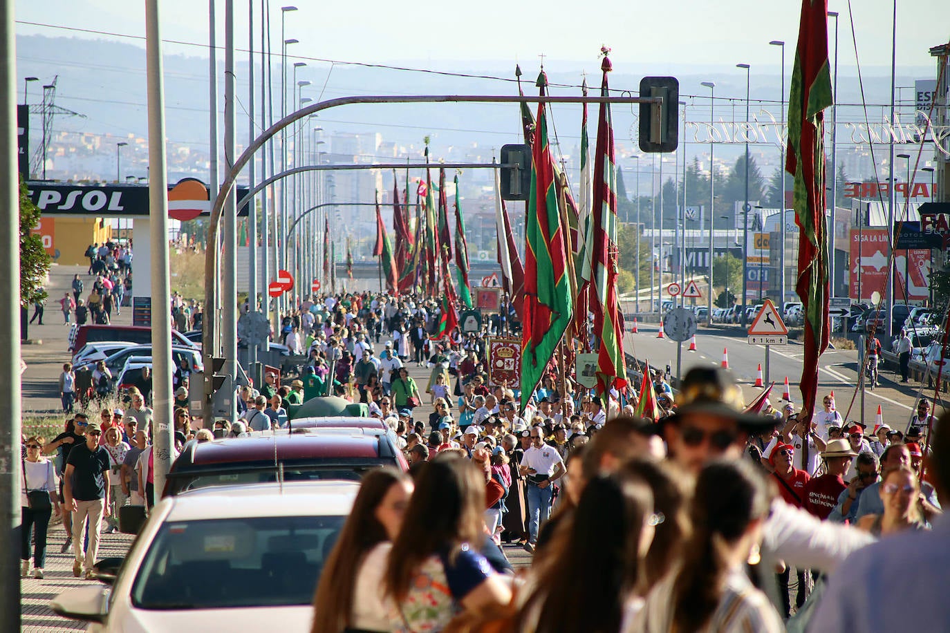 Romería de San Froilán