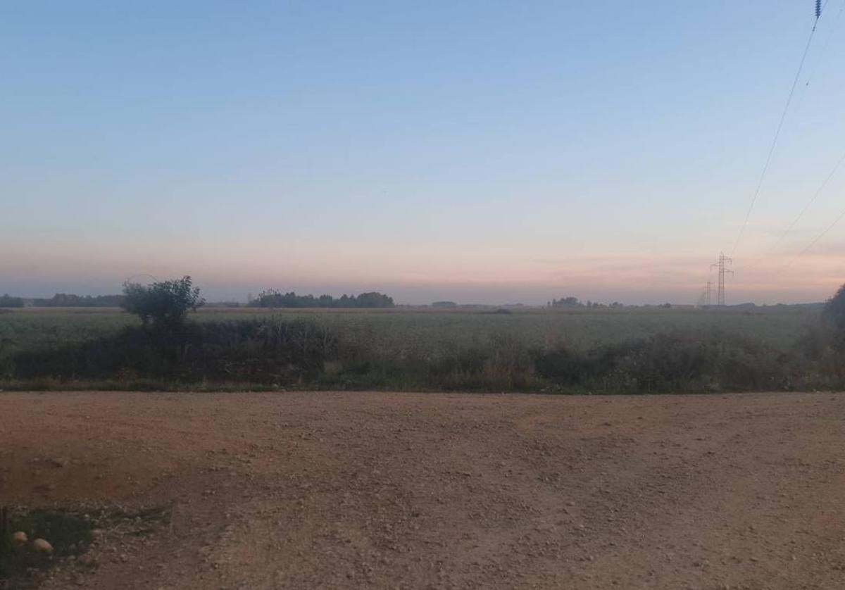 Terreno donde se instalará el centro logístico de biomasa forestal de Llamas de la Ribera.