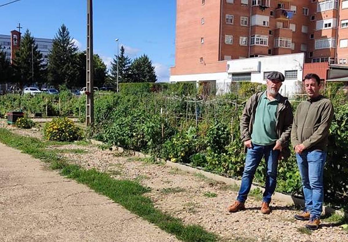 Visita a los huertos de ocio de San Andrés del Rabanedo durante la presentación