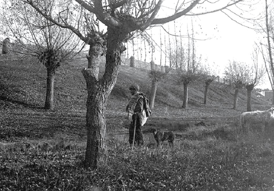 Paseo de Papalaguinda hacia 1908. Muralla del Monasterio de San Claudio