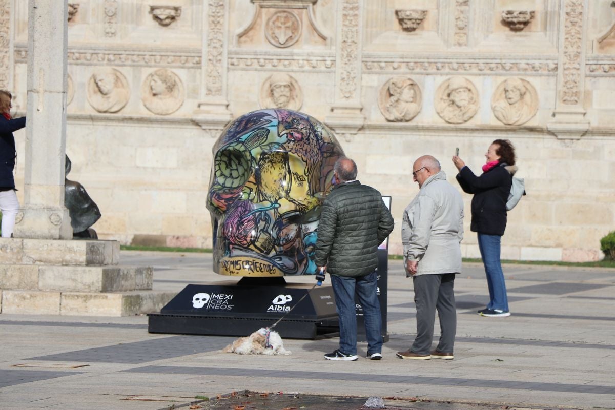 &#039;Mexicráneos&#039; se expone en León