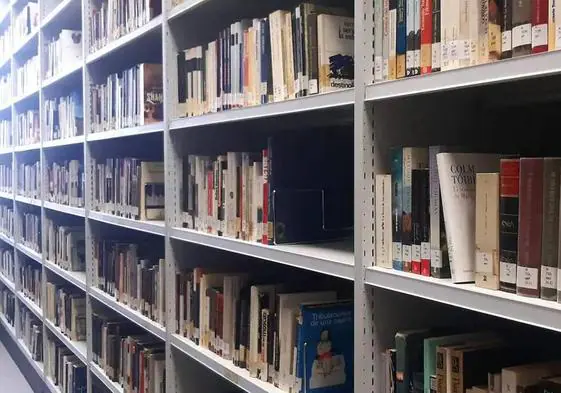 Imagen de archivo de una estantería con libros de una biblioteca.