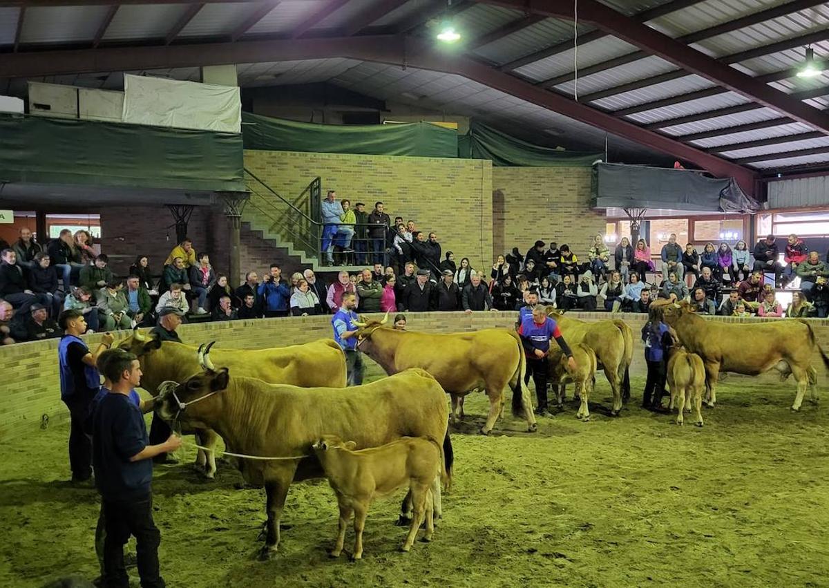 Imagen secundaria 1 - Certamen Asturiana de los Valles en Villablino