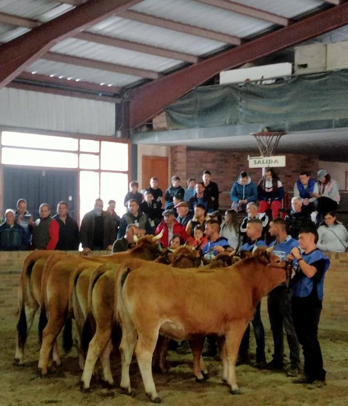 Imagen secundaria 2 - Certamen Asturiana de los Valles en Villablino