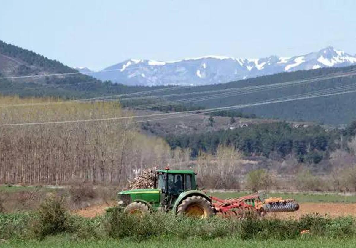 Laboreo en tierras de Quintana del Castillo