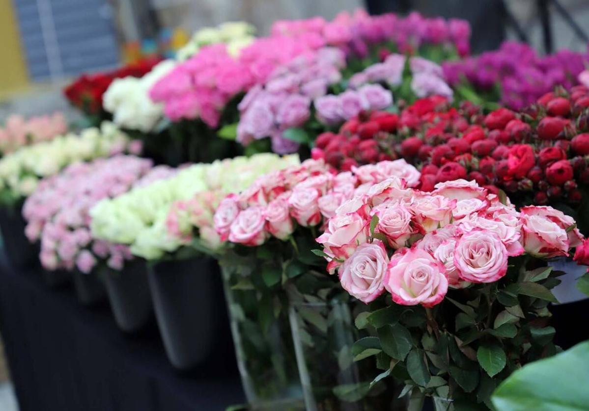 Flores esperando en una tienda del sector.