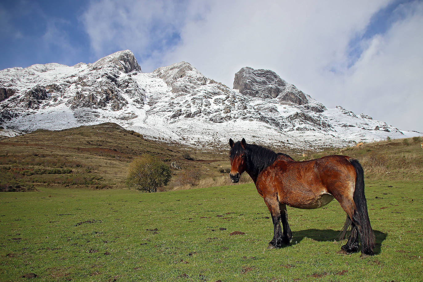 Nieve en la montaña leonesa.