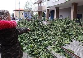 La peluquera Nadia San Juan presenció en directo la caída del segundo árbol.