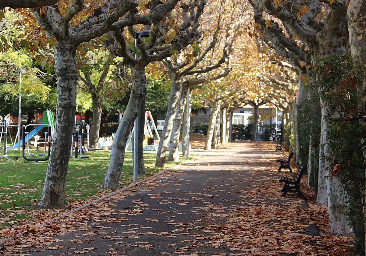 Imagen de un parque de la capital leonesa.