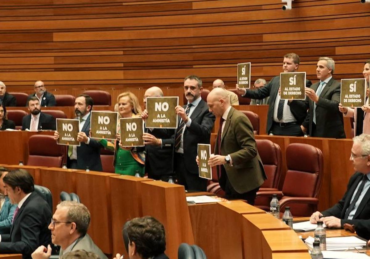 Los procuradores de Vox, con pancartas contra la amnistía en el pleno de las Cortes.