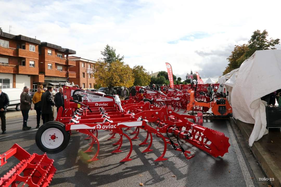 Feria de San Martín en Mansilla de las Mulas