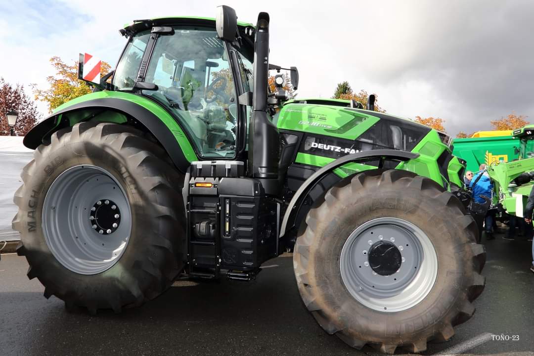 Feria de San Martín en Mansilla de las Mulas