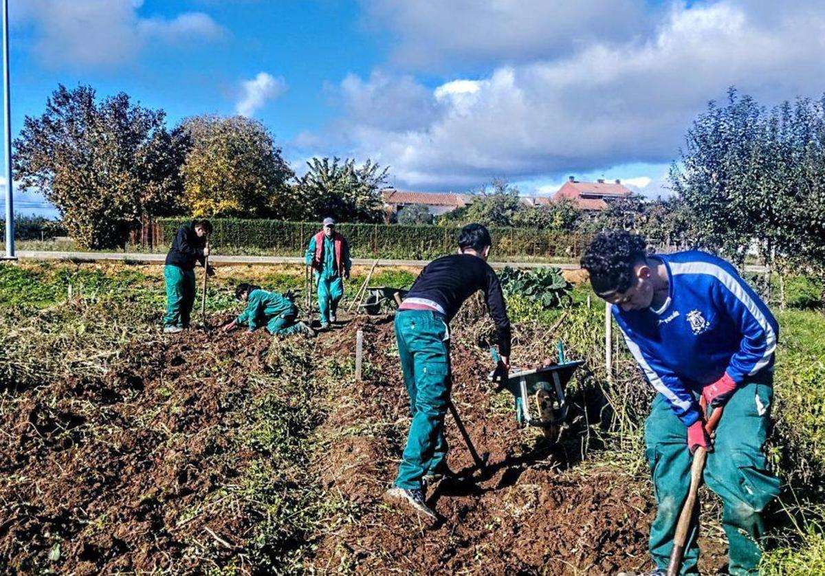 Alumnos de Jardinería del colegio Sierra Pambley de Hospital de Órbigo.