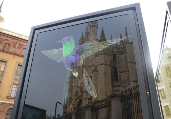 La Catedral de León reflejada en una de las fotografías expuestas en la muestra 'Colores del mundo'.